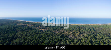 France, Charente Maritime, côte de beauté, la pointe de la Coubre, La Tremblade, dunes de sable et de la Côte sauvage (la Côte sauvage) (vue aérienne) // France Banque D'Images