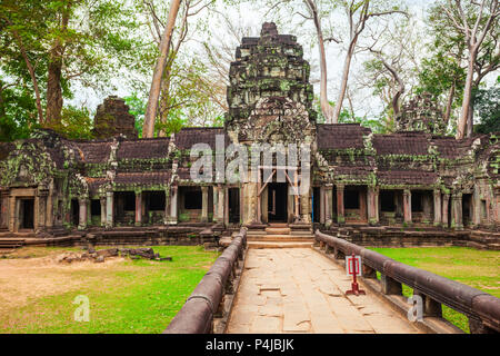 Ta Prohm ou Prasat Taprohm est le temple à Angkor à Siem Reap au Cambodge Banque D'Images