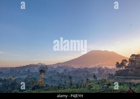 Beau lever de soleil sur les rizières en terrasses de Jatiluwih le à Bali, Indonésie Banque D'Images