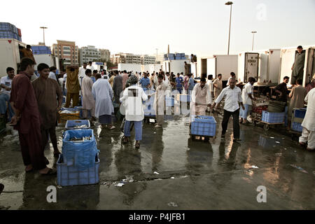 Les pêcheurs vendent du poisson frais au marché aux poissons tous les jours à Ras al Khaimah près de Dubaï, Émirats Arabes Unis Banque D'Images