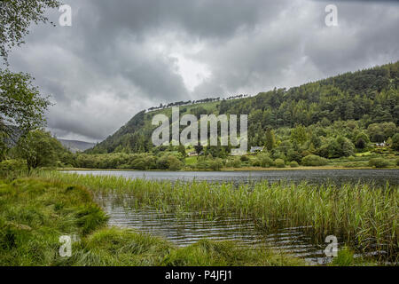 Vue idyllique dans la vallée de Glendalough, comté de Wicklow, Irlande Banque D'Images