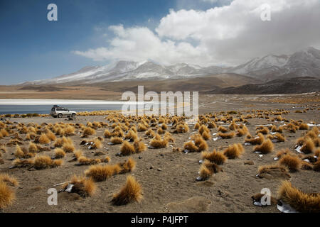 Lake Canapa, Atacama Desert, Chile Banque D'Images