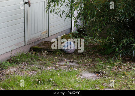 Ancienne boule sous bush dans jardin Banque D'Images