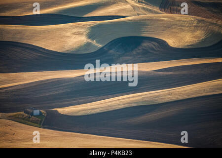 Une vue de la Palouse du haut de Steptoe Butte dans l'Est de Washington, USA Banque D'Images