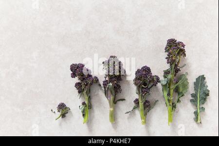 Coup de fleurons de graphiques purple sprouting brocoli sur fond de pierre Banque D'Images