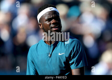 Frances Tiafoe pendant cinq jours du championnat Fever-Tree au Queen's Club de Londres. Banque D'Images