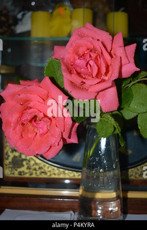 De beaux boutons de rose roses, récemment pincés, se tiennent dans un vase transparent en verre. Grosses têtes de rose recouvertes de gouttelettes d'eau. Banque D'Images