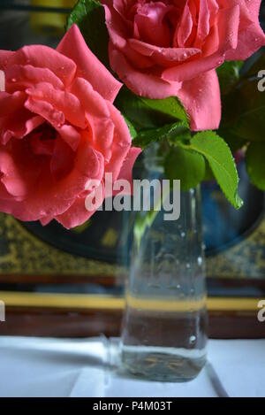 De beaux boutons de rose roses, récemment pincés, se tiennent dans un vase transparent en verre. Grosses têtes de rose recouvertes de gouttelettes d'eau. Banque D'Images