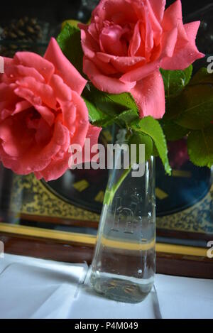 De beaux boutons de rose roses, récemment pincés, se tiennent dans un vase transparent en verre. Grosses têtes de rose recouvertes de gouttelettes d'eau. Banque D'Images