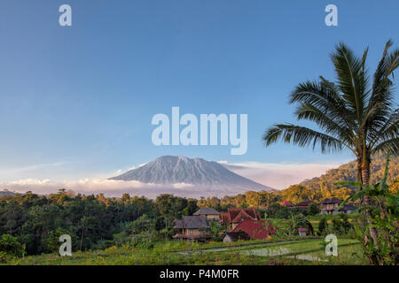 Terrasses de riz avec le Mont Agung en arrière-plan, Bali, Indonésie Banque D'Images