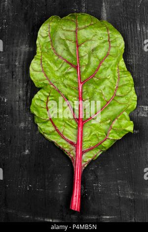 Une feuille de rhubarbe chard sur une surface sombre Banque D'Images