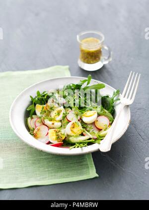 Salade de roquette avec le concombre, radis, oeufs de caille et une vinaigrette à la moutarde Banque D'Images