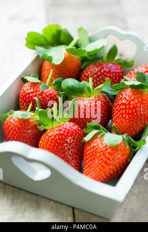 Fraises dans un plateau en bois blanc Banque D'Images