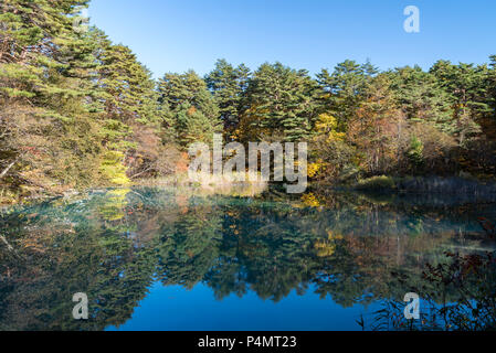 Goshiki-numa 5 couleurs étang en automne, Urabandai, Fukushima, Japon Banque D'Images