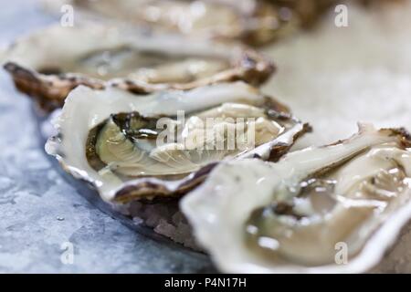 Fresh, a ouvert les huîtres (close-up) Banque D'Images