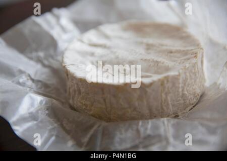 Fromage brie française sur un morceau de papier Banque D'Images