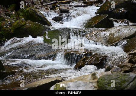 Image en gros plan d'une petite cascade sauvage sous la forme de courts ruisseaux d'eau entre les pierres de la montagne Banque D'Images