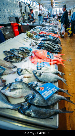 Cascais, Portugal - Juin 9th, 2018 : grand angle de visualisation de poisson frais local dans le marché du village de Cascais, Portugal Banque D'Images