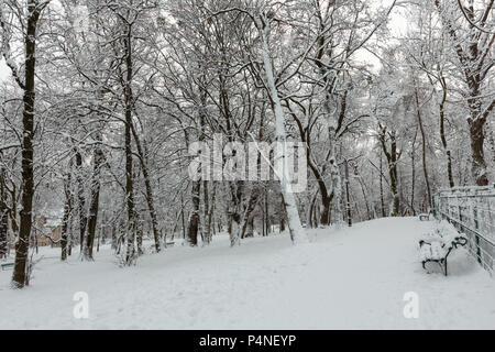 Beau couvert d'hiver matin Ivan Franko Park dans le centre-ville de Lviv, Ukraine. Banque D'Images