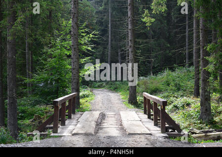 Un petit pont sur la rivière court pour conduire des voitures au milieu de la forêt Banque D'Images