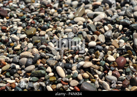 Série nature : la texture de la mer pebblees humide Banque D'Images