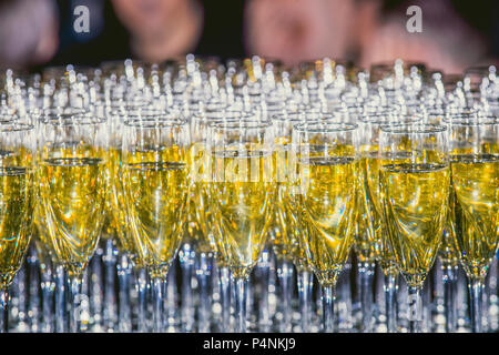 a row of glasses filled with champagne are lined up ready to be served Banque D'Images