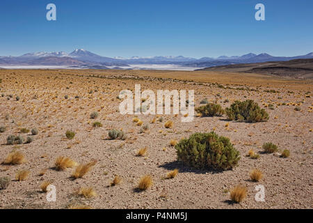 Vue sur le Salar de Tara Parc Naturel, San Pedro de Atacama, Chili Banque D'Images