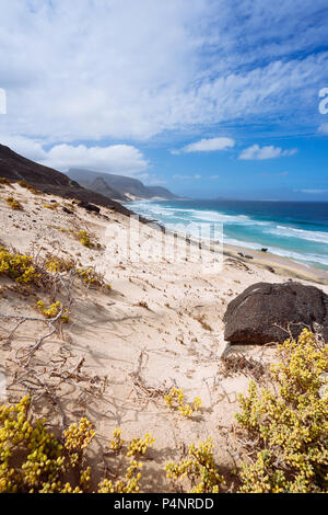 La désolation magnifique paysage de dunes de sable et de plantes du désert de la côte atlantique avec les vagues de l'océan. Baia das Gatas, au nord de Calhau, Sao Vicente Island Cape Verde Banque D'Images