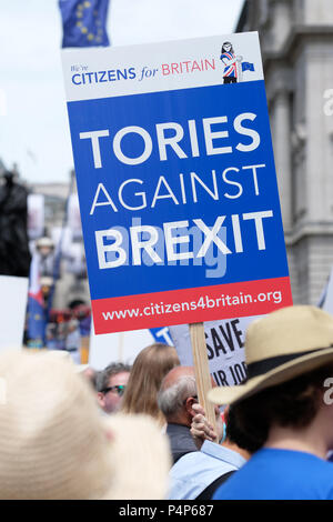 Vote du peuple mars LONDRES, ROYAUME UNI - 23 juin 2018. - Les manifestants avec placard conservateurs contre mars Brexit Pall Mall le long de Whitehall en route pour exiger un deuxième vote sur l'accord final Brexit - Steven Mai /Alamy Live News Banque D'Images
