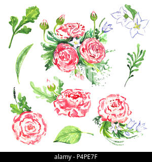 Ranunculus fleurs roses et les feuilles ensemble isolé, illustration aquarelle peinte à la main Banque D'Images