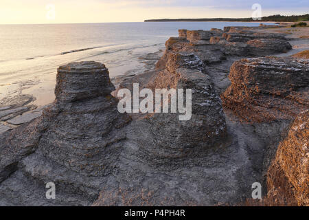Les piles de la mer à Byrum, Öland, Suède Banque D'Images