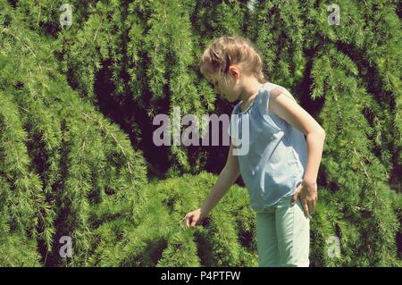 Blanc belle fille blonde, les cheveux emmêlés, 7-9, 8 ans, de toucher des branches de pins en Parc, Vue de profil, copy space Banque D'Images