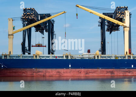 De grandes grues pour le chargement et déchargement de cargaison à Port Everglades - Fort Lauderdale, Floride, USA Banque D'Images