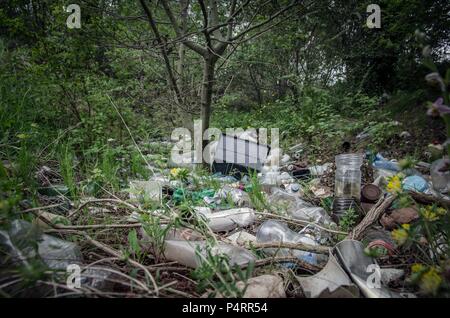 Des tas de déchets, principalement le plastique, abandonné entre les arbres forestiers en milieu urbain, West Midlands, Royaume-Uni. Banque D'Images