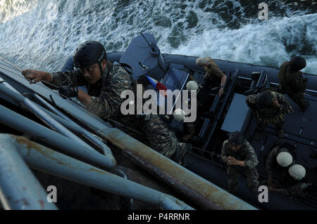 CAVITE, Philippines (fév. 4, 2010) l'Armée des Philippines Navy SEAL monte une échelle spéléo à bord du navire de soutien logistique de la marine philippine BRP Dagupan City (LC-551) au cours d'une opération d'interdiction maritime de l'exercice. Les membres de la tâche spéciale Force-Philippines Opération spéciale de l'équipe de bateau sont la formation de 14 membres des Forces armées des Philippines Le Groupe d'opérations spéciales de la Marine. Banque D'Images