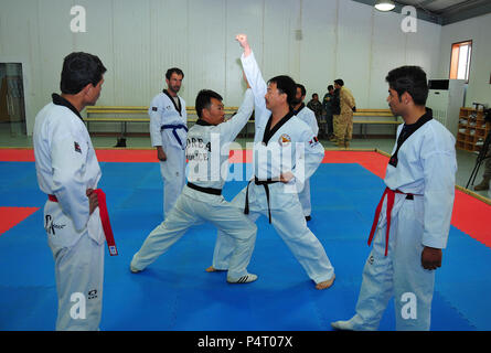 PARWAN, Afghanistan - (Janvier 1985). 27, 2012) Les élèves apprennent la Police nationale afghane de Taekwondo Taekwondo Police nationale coréenne de maîtrise à l'Parwan, République de Corée, de l'Équipe provinciale de reconstruction du centre de formation de l'ANP le 27 janvier. L'EPR ROK Parwan travaille à étendre la portée et de renforcer la légitimité du gouvernement afghan dans la province, en mettant l'accent sur l'habilitation des fonctionnaires du gouvernement Parwan dans des domaines fonctionnels tels que l'État de droit, la construction d'une infrastructure durable et d'assurer le perfectionnement professionnel des compétences à la population afghane locale indépendante utilisée pour générer des revenus des ménages. La NTM-A est un Banque D'Images