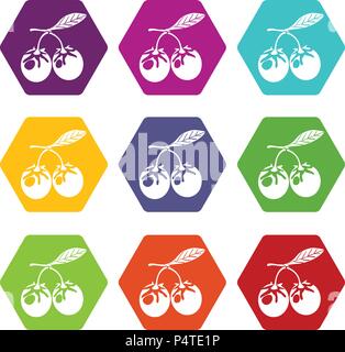 Berry Eco icons set 9 vector Illustration de Vecteur