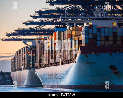 Le commerce international, l'Organisation mondiale du commerce. Décharger et charger les navires à conteneurs conteneurs au port de Felixstowe, le plus grand port à conteneurs. Banque D'Images