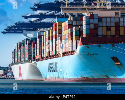 Le commerce international, l'Organisation mondiale du commerce. Décharger et charger les navires à conteneurs conteneurs au port de Felixstowe, le plus grand port à conteneurs. Banque D'Images