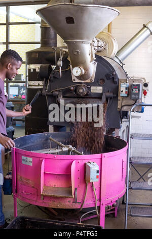 Johannesburg, Afrique du Sud, le 7 juin - 2018 : les grains de café en versant d'un tambour de torréfaction dans une trémie. Banque D'Images