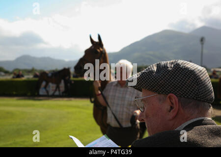 Défilé de chevaux de course par l'anneau de circulation Gestionnaire ou formateur, regardée par Punter, contrôle de formulaire, Killarney, comté de Kerry, Irlande. Banque D'Images