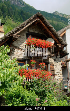 Sonogno ;, pittoresque village infesté de géraniums dans la Valle Versasca, Tessin (Suisse Italienne) Banque D'Images