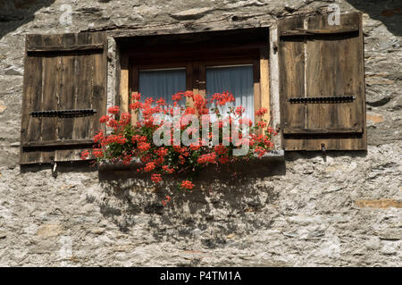 Sonogno ;, pittoresque village infesté de géraniums dans la Valle Versasca, Tessin (Suisse Italienne) Banque D'Images