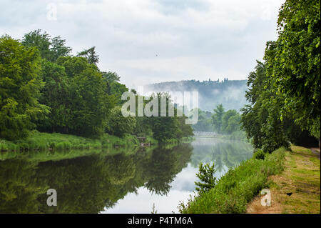 Une rivière à l'eau calme et arbres réflexions couvertes par le brouillard. Banque D'Images