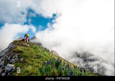 L'Autriche, l'état de Salzbourg, Filzmoos, Female hiker Banque D'Images