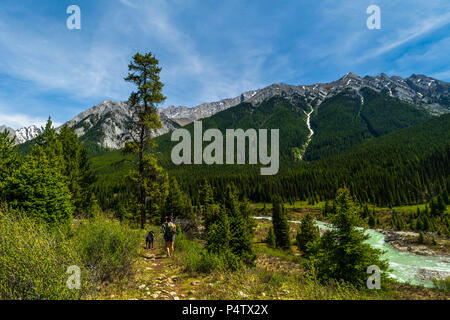 Le parc national Banff, en Alberta. 27 mai, 2018. Un randonneur marchant le long d'un chemin d'accès à l'Ink Pots dans le parc national de Banff, Canada Banque D'Images