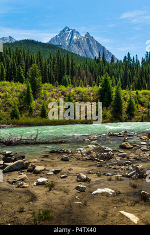 Vue du mont Cascade à partir de l'Ink Pots dans le parc national de Banff, Canada Banque D'Images