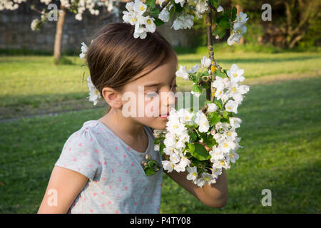 Little girl smelling apple blossom Banque D'Images