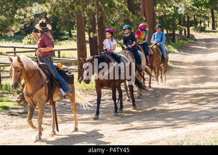 Famille de quatre personnes - deux enfants, leur mère et grand-père -- prendre une leçon d'équitation dans les bois dans le Rocky Mountain, Colorado, USA ; Banque D'Images