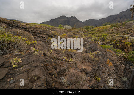 Vue sur la plage Playa de los Barqueros dans la partie nord de Tenerife, à Buenavista del Norte et sa formation de roches volcaniques le long de la mer. Banque D'Images